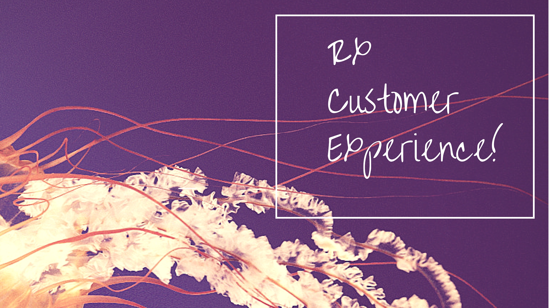 RxCustomer Experience!