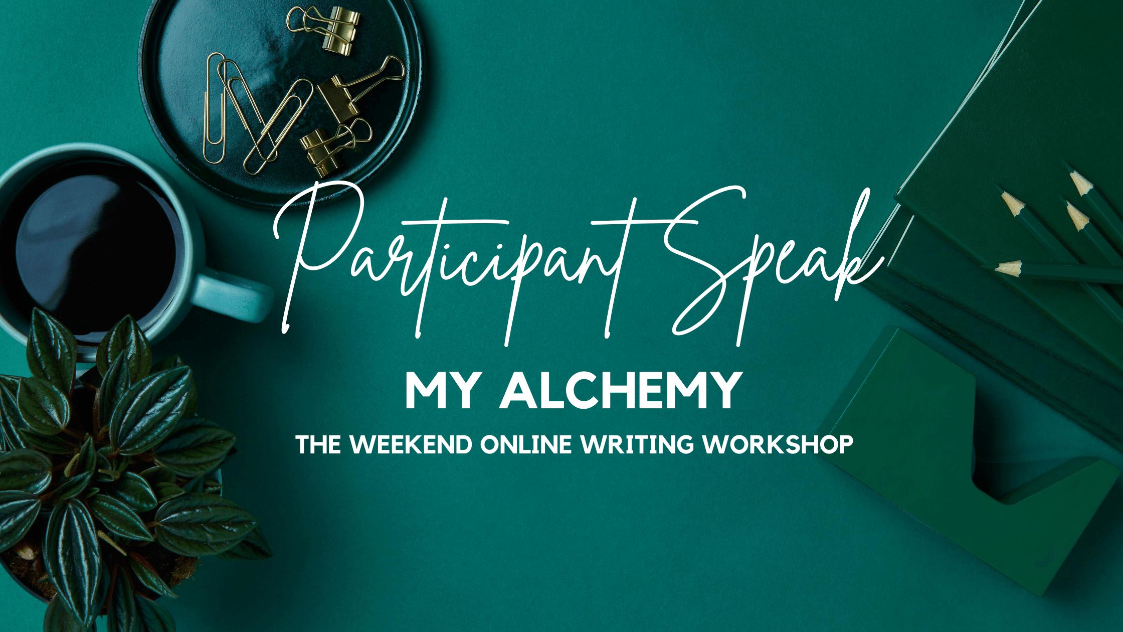 ParticipantSpeak