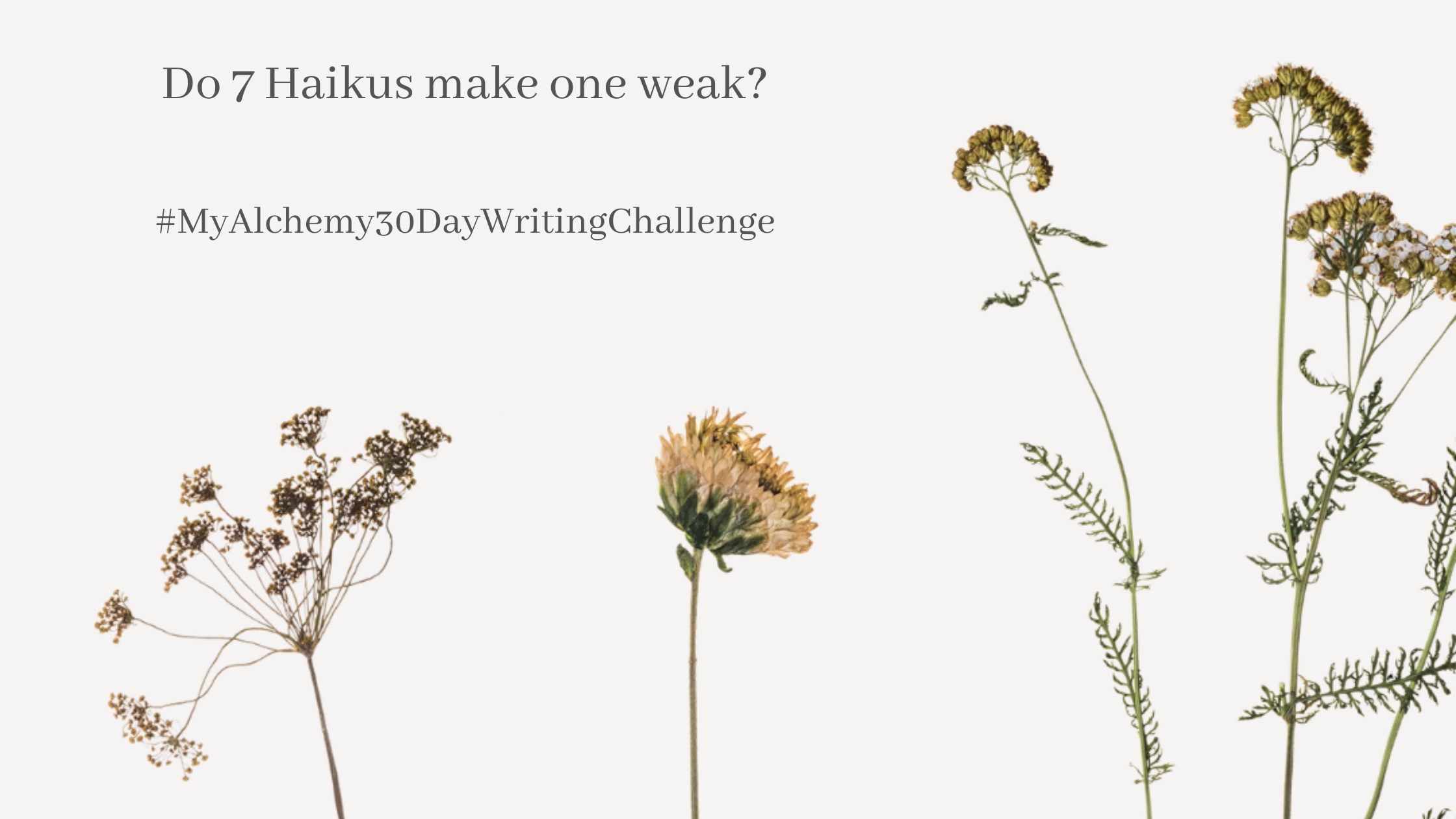 Haikus