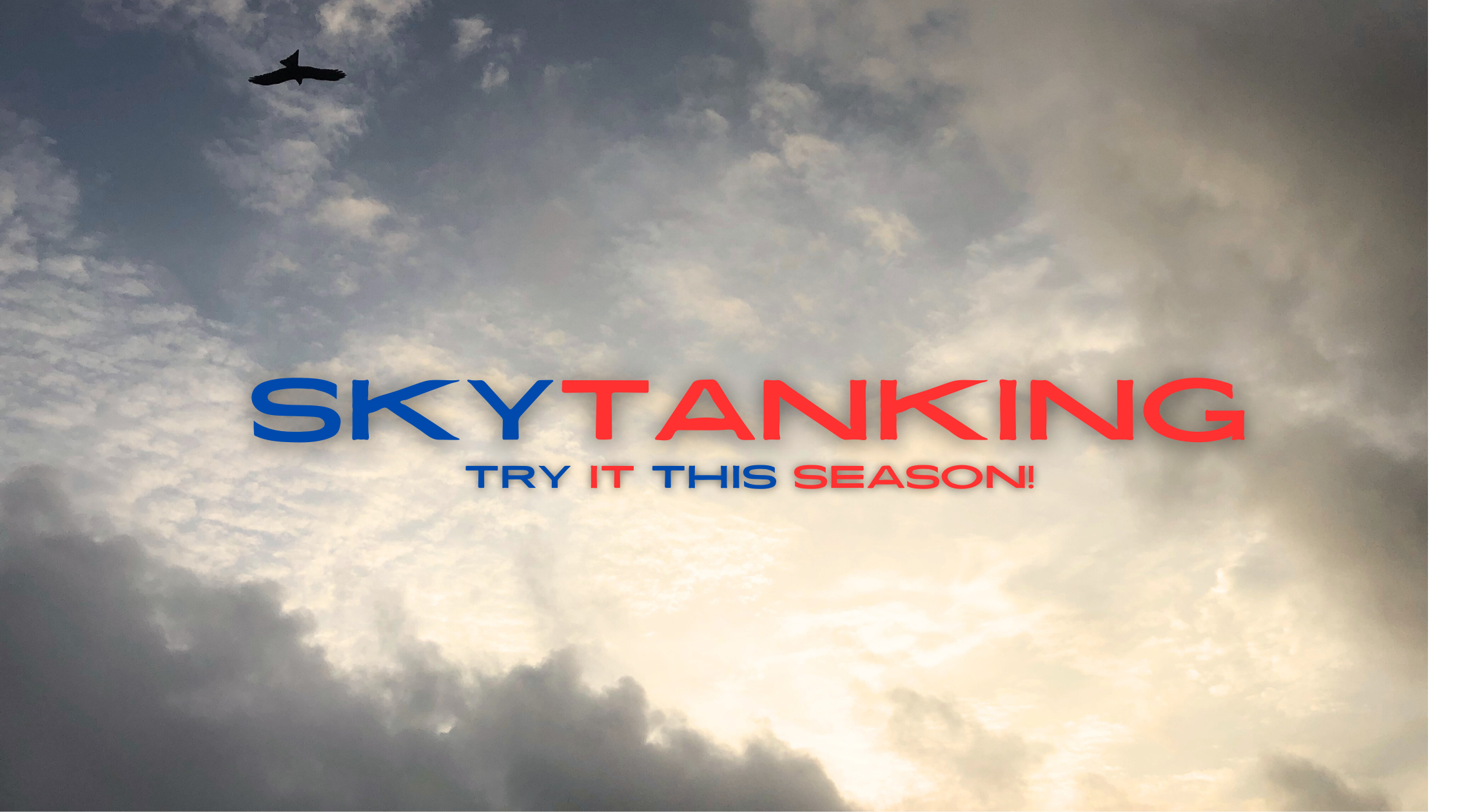 Title of blog against sky background with a bird flying